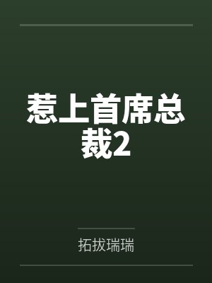 惹上首席总裁2 惹上首席总裁2