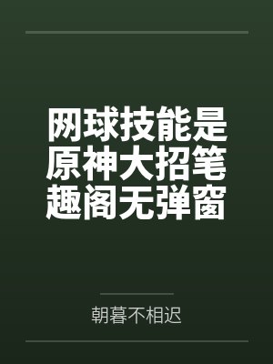 网球技能是原神大招笔趣阁无弹窗