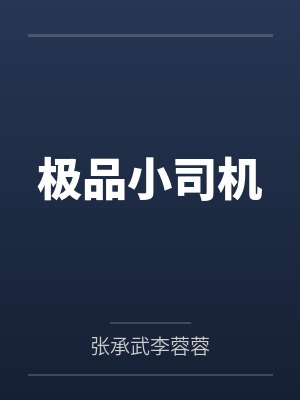 极品小司机 极品小司机